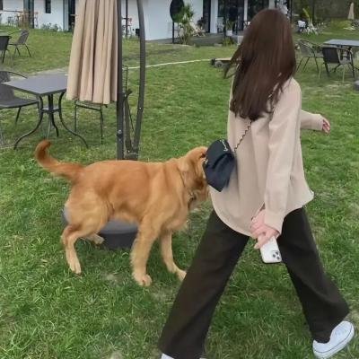 拳风恋影